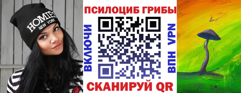 Купить где  Барыш  Псилоцибиновые грибы мухоморы 